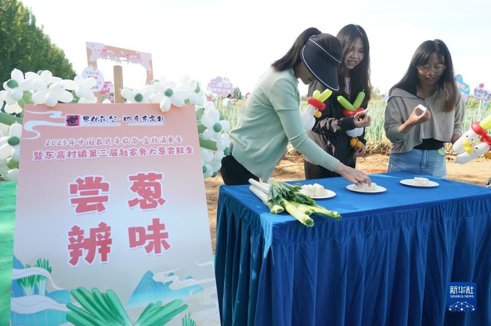 网投实体平台